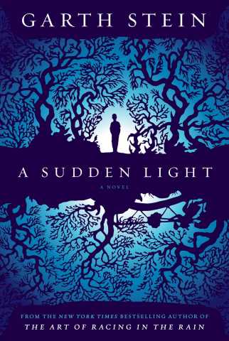 sudden light cover