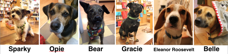 Screen Shot 2015-03-30 at 1.57.59 PM