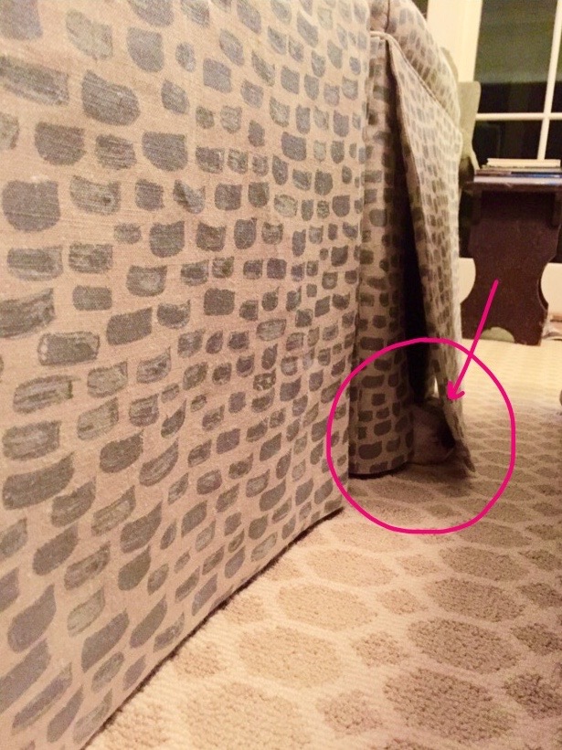 Let me give you a hint . . . See that little beagle nose?