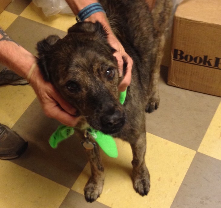 Bear got a scratch . . .