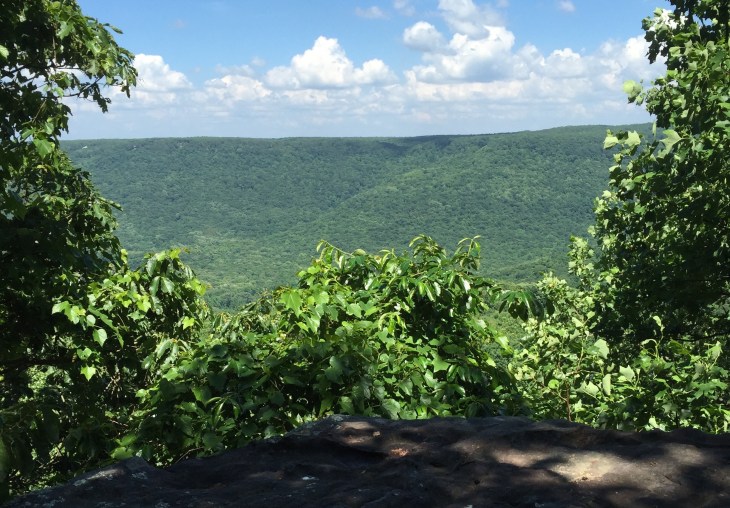 Photo by Leah Stewart