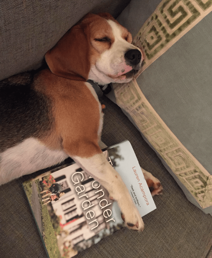 Screen Shot 2015-10-06 at 12.56.41 PM