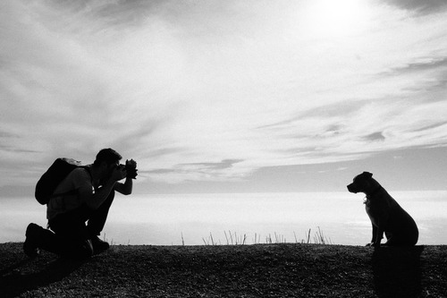 (photo by Jeff Dodsdon)