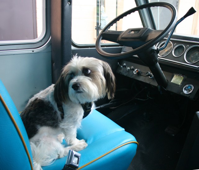 1603 Sparky at the wheel.jpg