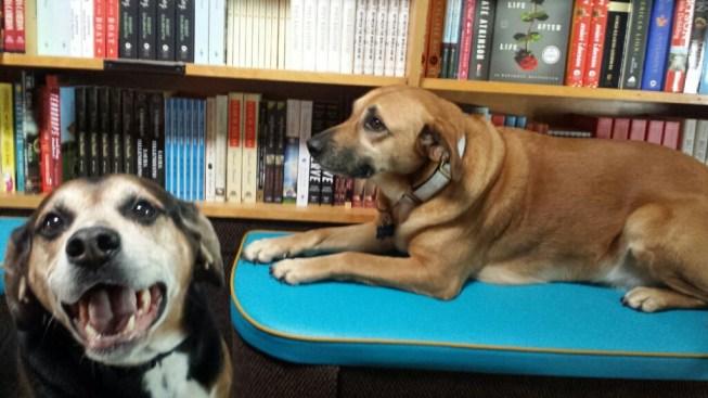 Opie and Belle Love Books.jpg