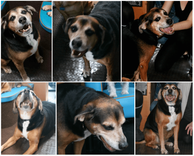 Screen Shot 2016-03-10 at 1.35.40 PM.png