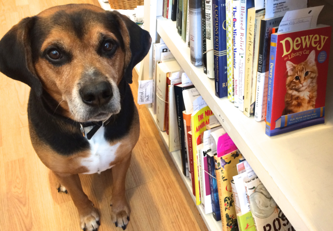 Screen Shot 2016-03-14 at 8.09.07 AM.png