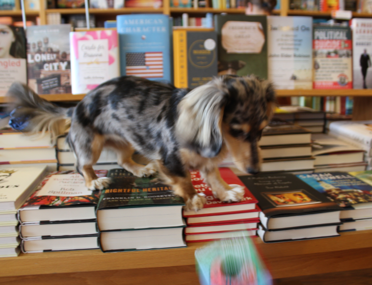 Screen Shot 2016-03-31 at 2.33.10 PM.png