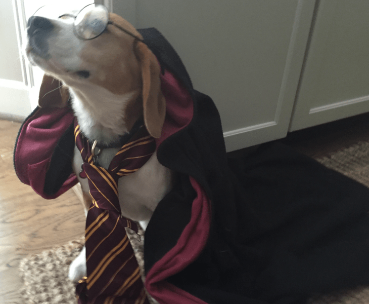 Screen Shot 2016-06-22 at 3.17.39 PM