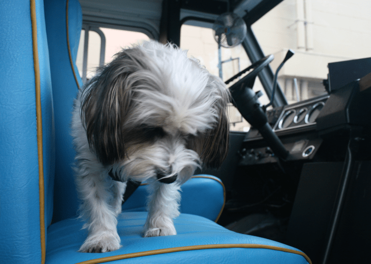 Screen Shot 2016-06-22 at 3.39.37 PM.png