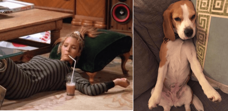 Screen Shot 2016-08-22 at 1.28.44 PM.png