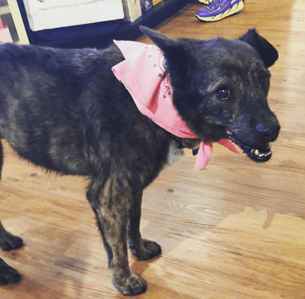 Screen Shot 2016-08-23 at 10.25.45 AM