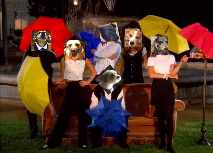 Screen Shot 2016-08-23 at 10.32.36 AM.png