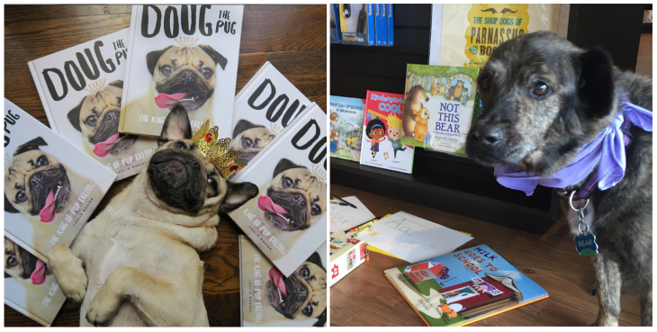 screen-shot-2016-11-02-at-5-24-28-pm