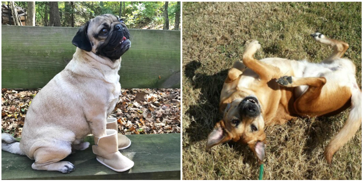 Screen Shot 2016-11-02 at 5.35.19 PM.png