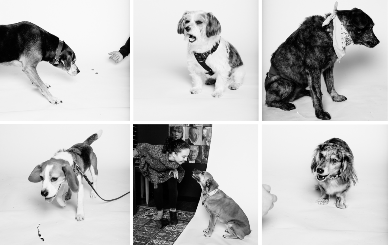 Screen Shot 2017-02-21 at 9.02.28 AM.png