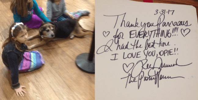 Screen Shot 2017-04-17 at 1.07.10 PM