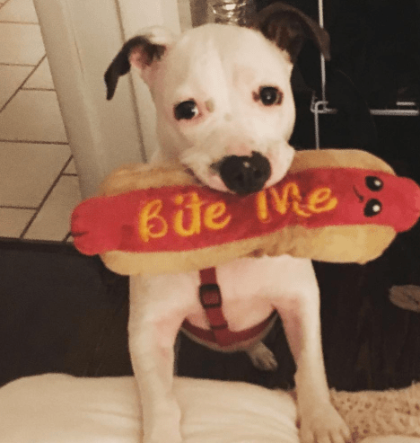 Screen Shot 2017-07-19 at 11.12.11 AM