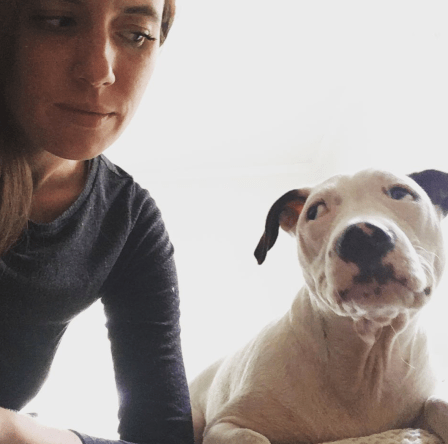 Screen Shot 2017-07-19 at 11.16.15 AM