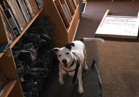 Screen Shot 2017-07-19 at 11.18.43 AM