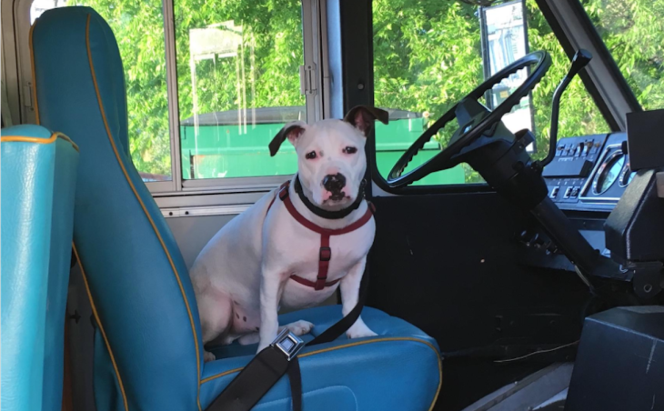 Screen Shot 2017-07-19 at 2.07.44 PM