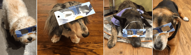 Screen Shot 2017-08-14 at 11.52.53 AM