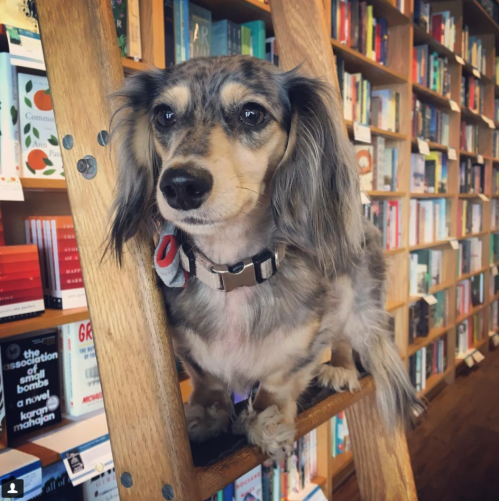 Screen Shot 2017-12-17 at 3.26.43 PM