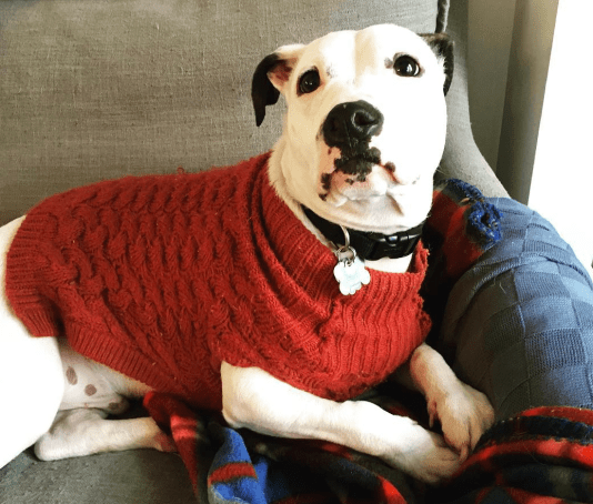 Screen Shot 2017-12-28 at 3.09.50 PM.png