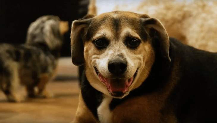 Screen Shot 2018-04-18 at 2.57.47 PM