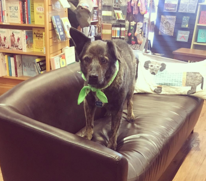 Screen Shot 2018-04-18 at 3.01.14 PM