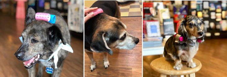 Screen Shot 2018-09-08 at 1.12.33 PM